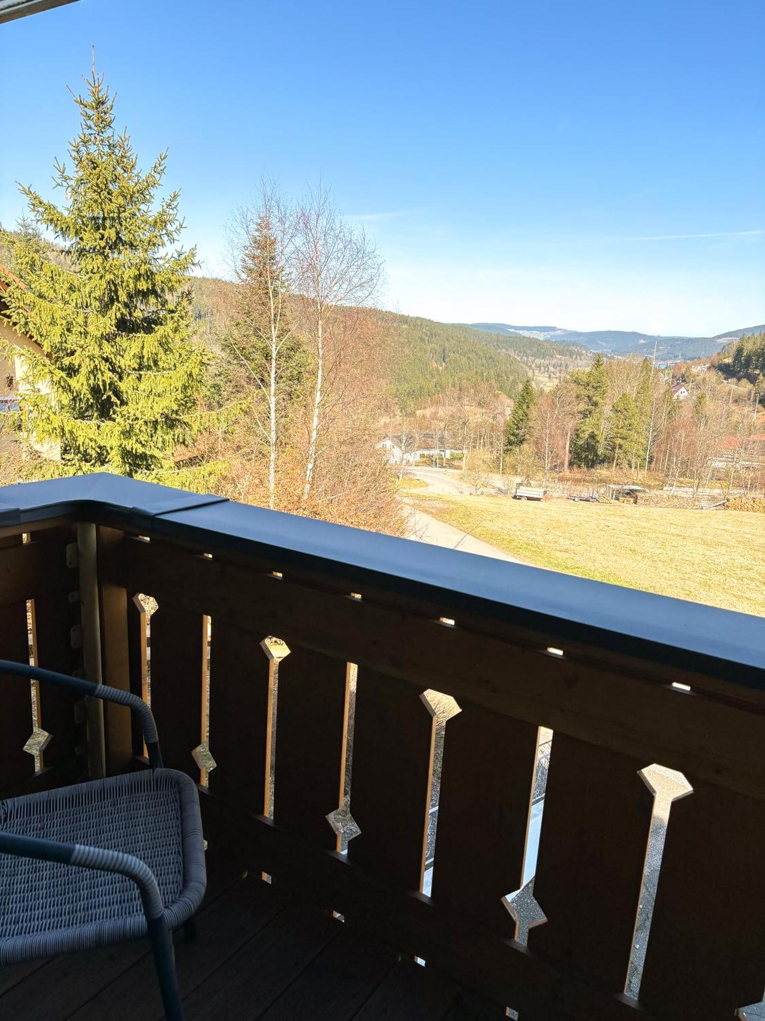 Schwarzwald-Chalet Feldberg Feldberg  Luaran gambar