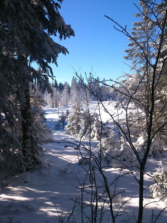 Schwarzwald-Chalet Feldberg Apartment Feldberg  Luaran gambar