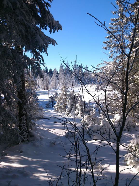 Schwarzwald-Chalet Feldberg Feldberg  Luaran gambar